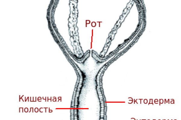 Сайт кракен войти