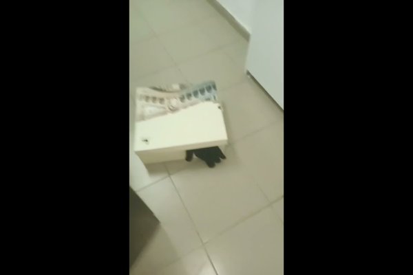 Kraken tor ссылка kraken014 com