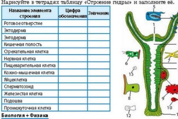 Кракен современный маркет