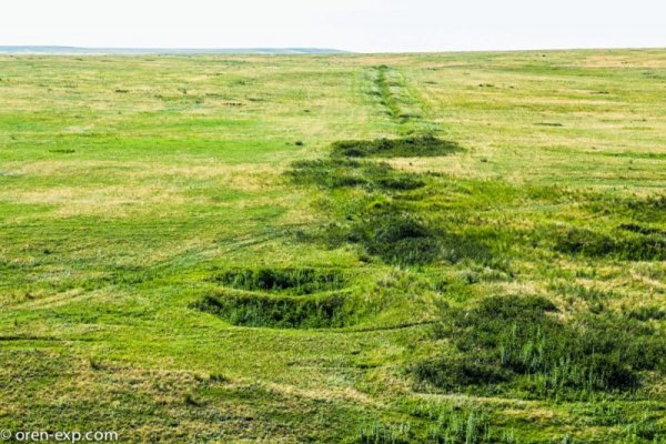Зеркало на кракен